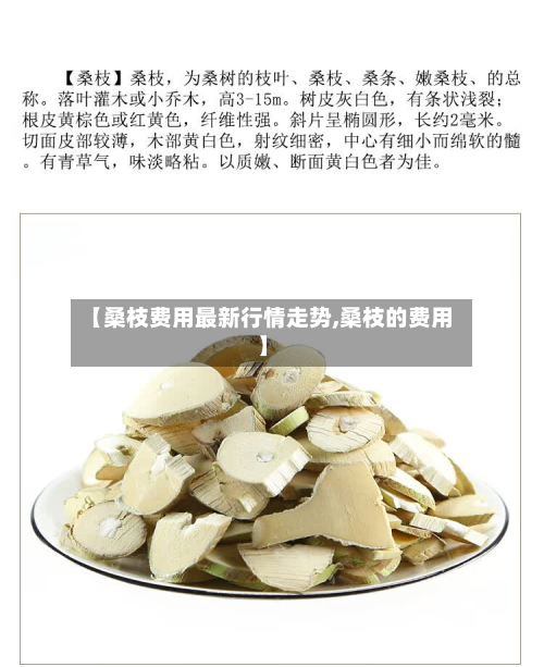 【桑枝费用最新行情走势,桑枝的费用】