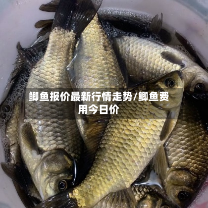 鲫鱼报价最新行情走势/鲫鱼费用今日价-第2张图片