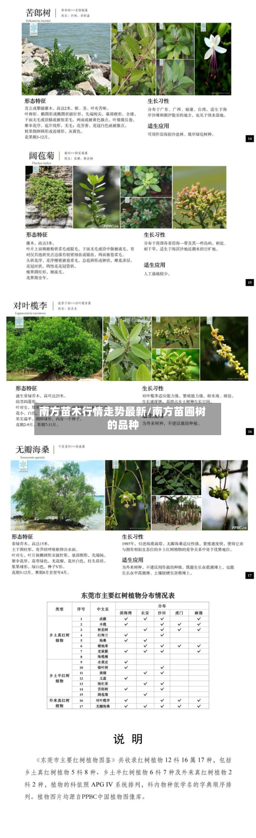 南方苗木行情走势最新/南方苗圃树的品种