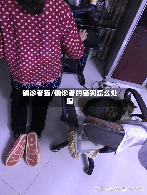 确诊者猫/确诊者的猫狗怎么处理-第2张图片