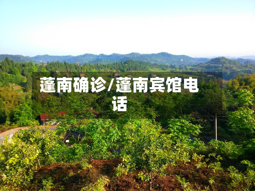 蓬南确诊/蓬南宾馆电话-第2张图片