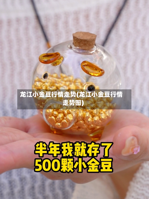 龙江小金豆行情走势(龙江小金豆行情走势图)