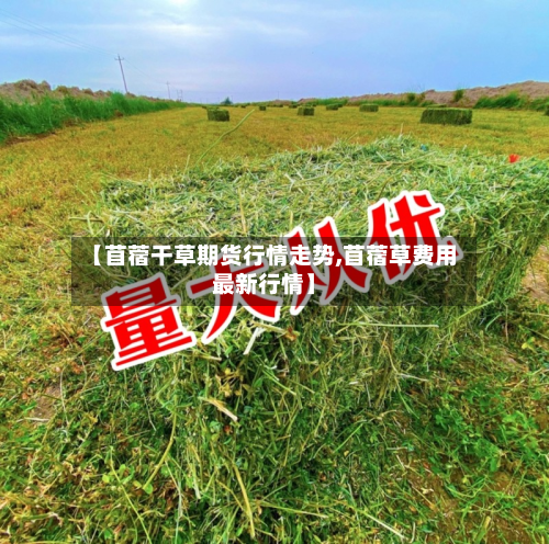 【苜蓿干草期货行情走势,苜蓿草费用最新行情】