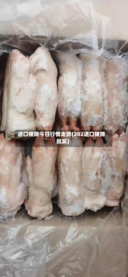 进口猪蹄今日行情走势(202进口猪蹄批发)