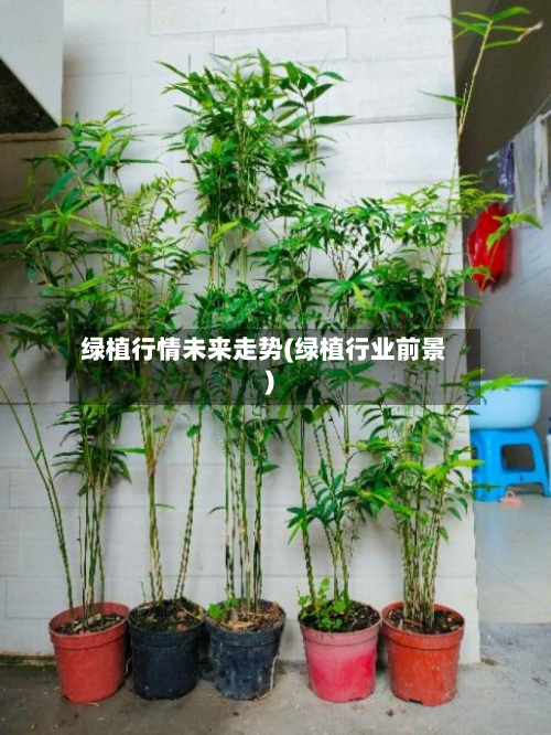 绿植行情未来走势(绿植行业前景)-第2张图片