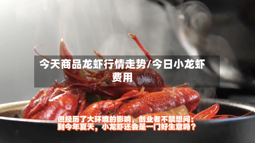 今天商品龙虾行情走势/今日小龙虾费用-第2张图片
