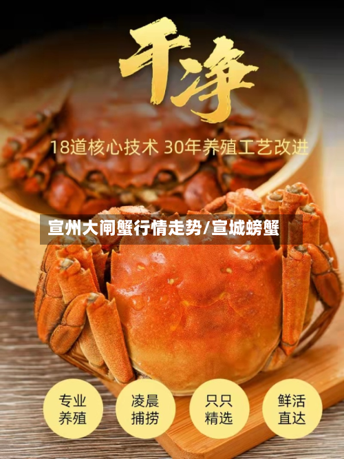 宣州大闸蟹行情走势/宣城螃蟹