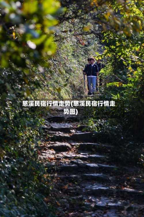 慈溪民宿行情走势(慈溪民宿行情走势图)-第3张图片