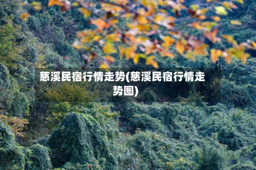 慈溪民宿行情走势(慈溪民宿行情走势图)