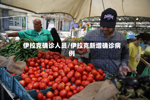 伊拉克确诊人员/伊拉克新增确诊病例-第2张图片
