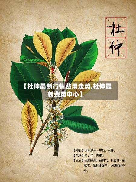 【杜仲最新行情费用走势,杜仲最新费用中心】