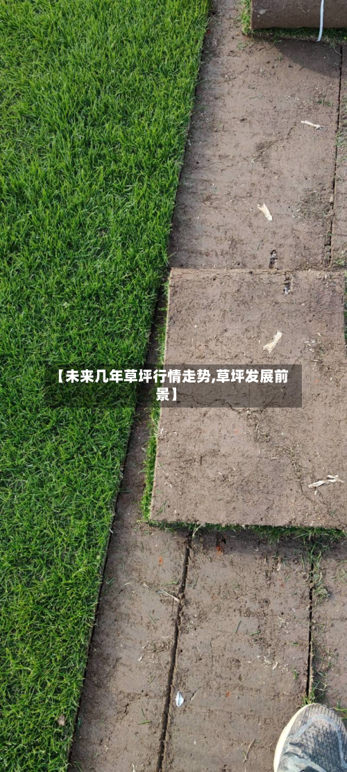 【未来几年草坪行情走势,草坪发展前景】