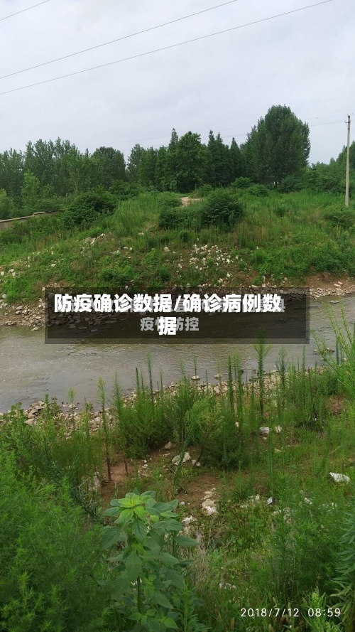 防疫确诊数据/确诊病例数据