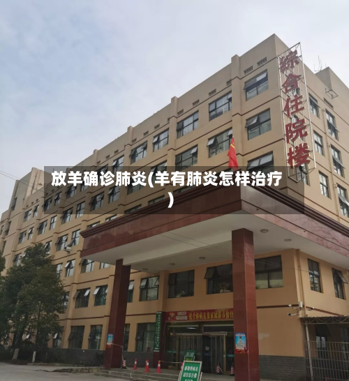 放羊确诊肺炎(羊有肺炎怎样治疗)-第2张图片