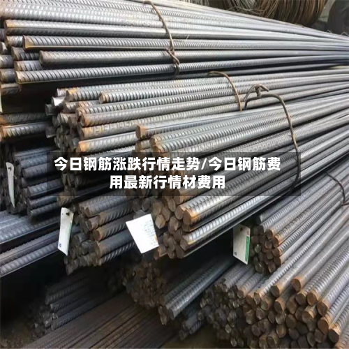 今日钢筋涨跌行情走势/今日钢筋费用最新行情材费用-第2张图片