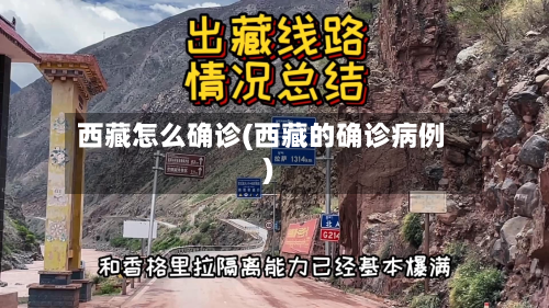 西藏怎么确诊(西藏的确诊病例)