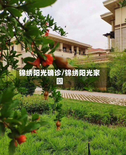锦绣阳光确诊/锦绣阳光家园-第2张图片