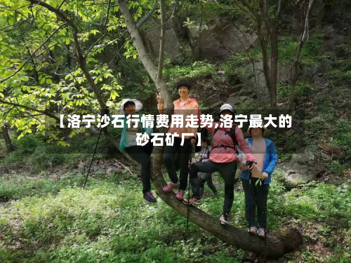 【洛宁沙石行情费用走势,洛宁最大的砂石矿厂】