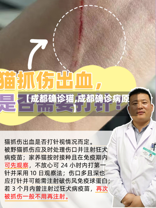 【成都确诊猫,成都确诊病原】