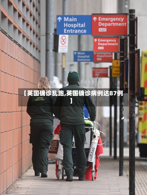 【英国确诊乱跑,英国确诊病例达87例】-第3张图片