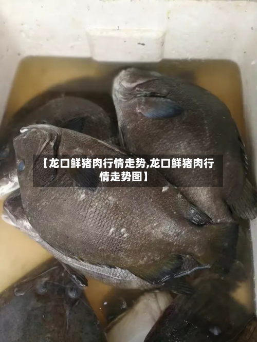 【龙口鲜猪肉行情走势,龙口鲜猪肉行情走势图】-第2张图片