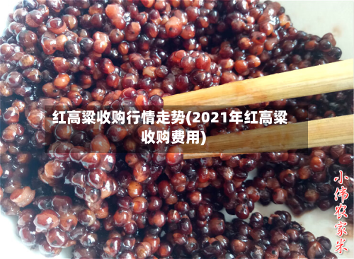 红高粱收购行情走势(2021年红高粱收购费用)