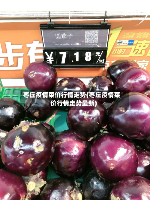 枣庄疫情菜价行情走势(枣庄疫情菜价行情走势最新)