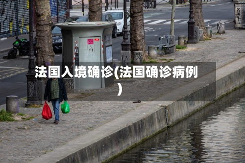 法国入境确诊(法国确诊病例)