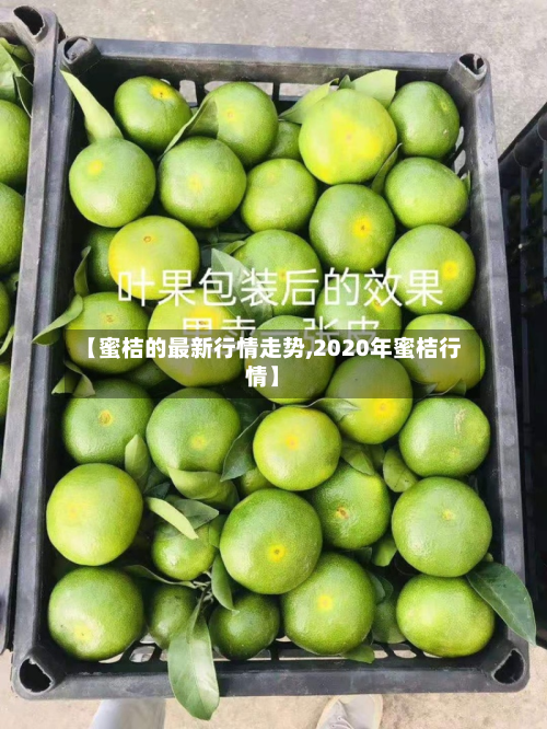 【蜜桔的最新行情走势,2020年蜜桔行情】-第2张图片