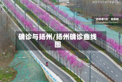 确诊与扬州/扬州确诊曲线图
