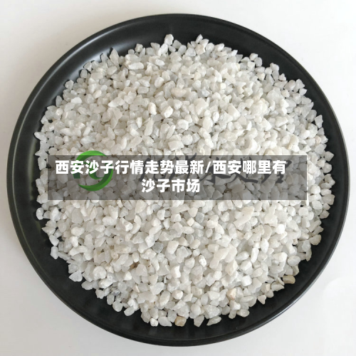 西安沙子行情走势最新/西安哪里有沙子市场-第3张图片