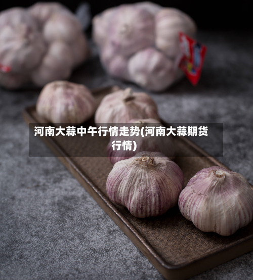 河南大蒜中午行情走势(河南大蒜期货行情)-第2张图片