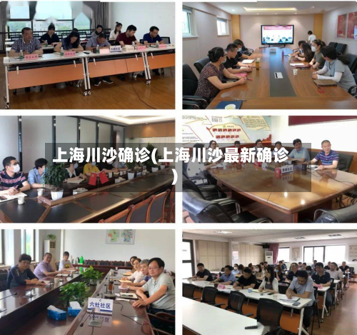 上海川沙确诊(上海川沙最新确诊)-第2张图片