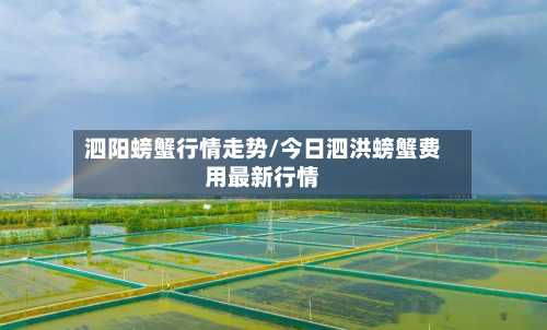 泗阳螃蟹行情走势/今日泗洪螃蟹费用最新行情-第2张图片
