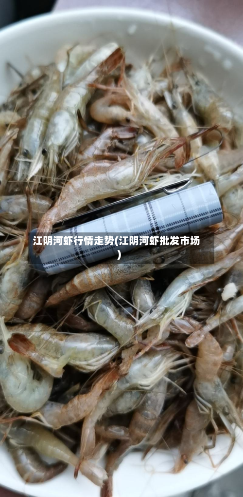 江阴河虾行情走势(江阴河虾批发市场)-第2张图片