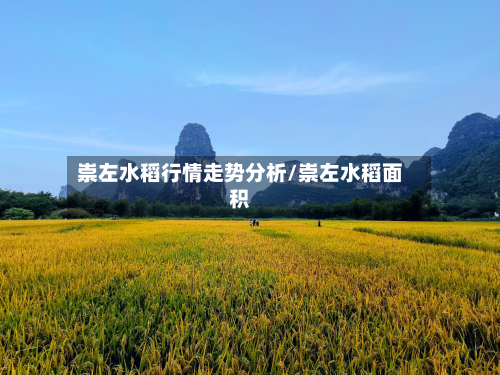 崇左水稻行情走势分析/崇左水稻面积
