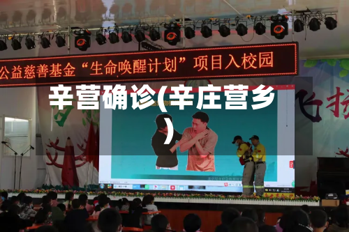辛营确诊(辛庄营乡)-第2张图片