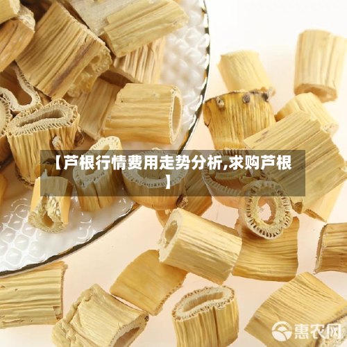 【芦根行情费用走势分析,求购芦根】