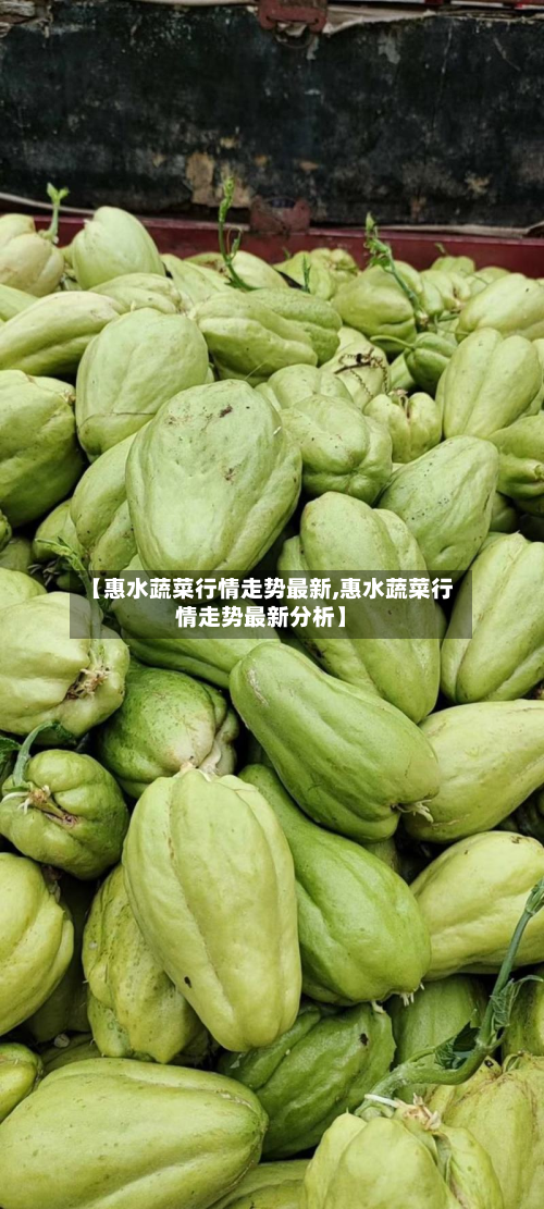 【惠水蔬菜行情走势最新,惠水蔬菜行情走势最新分析】