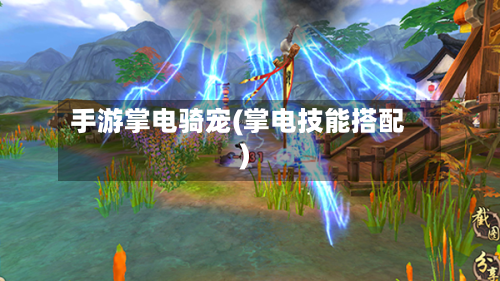 手游掌电骑宠(掌电技能搭配)
