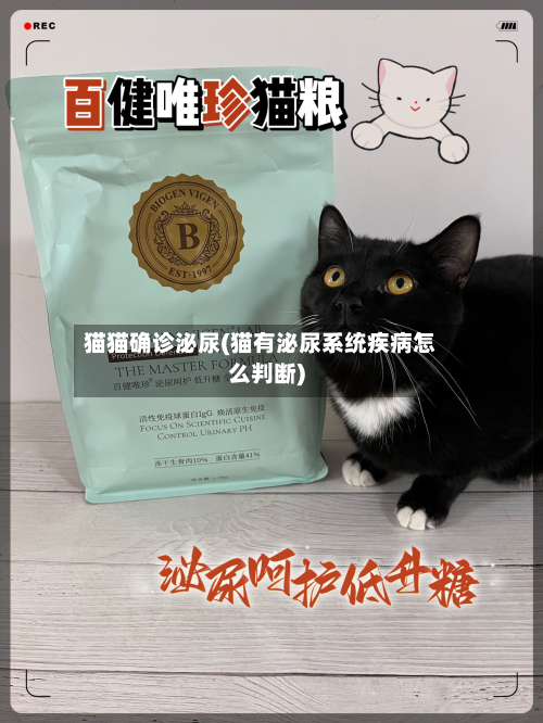 猫猫确诊泌尿(猫有泌尿系统疾病怎么判断)