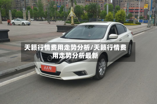 天籁行情费用走势分析/天籁行情费用走势分析最新