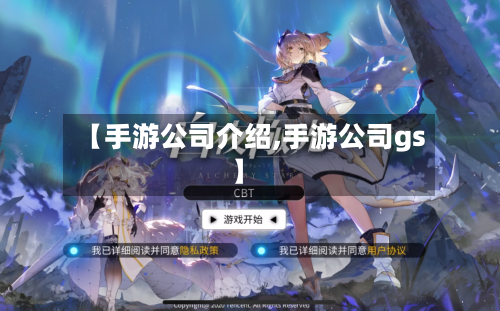 【手游公司介绍,手游公司gs】-第3张图片