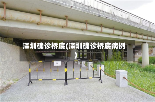 深圳确诊桥底(深圳确诊桥底病例)-第3张图片