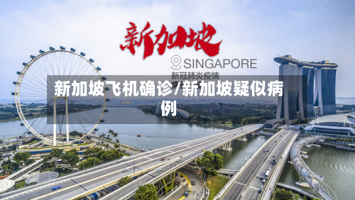 新加坡飞机确诊/新加坡疑似病例