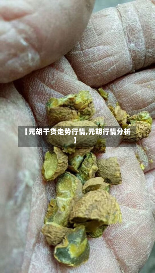 【元胡干货走势行情,元胡行情分析】