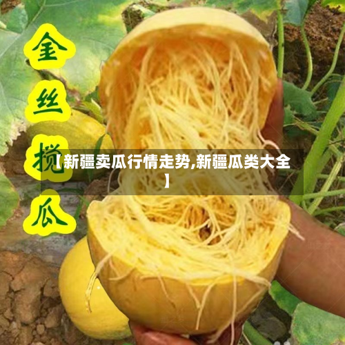 【新疆卖瓜行情走势,新疆瓜类大全】