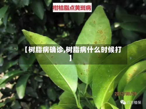 【树脂病确诊,树脂病什么时候打】-第2张图片