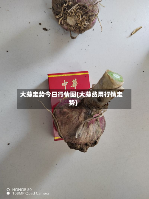 大蒜走势今日行情图(大蒜费用行情走势)