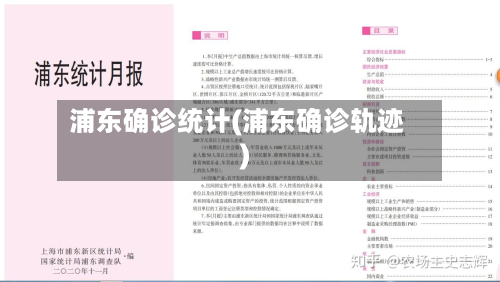 浦东确诊统计(浦东确诊轨迹)-第2张图片